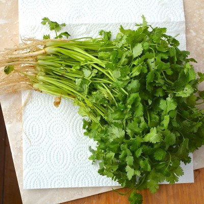 conservation de la coriandre - the best way to keep cilantro
